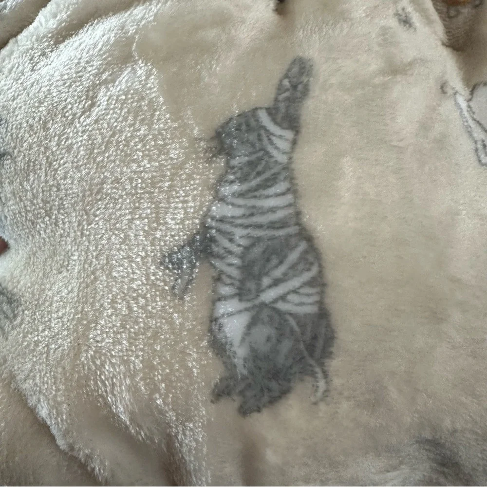 Pooh Bear Collection Halloween Baby blanket soft cream NEW